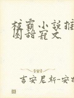 校霸小说推荐校园甜宠文