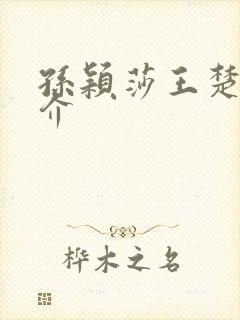 孙颖莎王楚钦简介