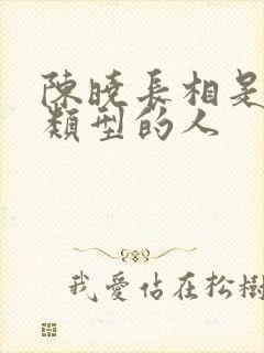 陈晓长相是什么类型的人