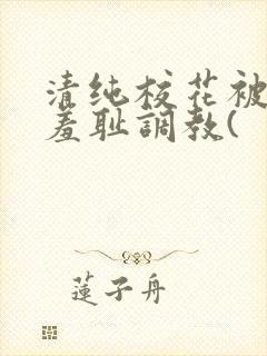 清纯校花被民工羞耻调教(