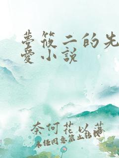 梦筱二的先婚后爱小说