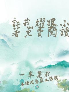 许我耀眼小说原著免费阅读