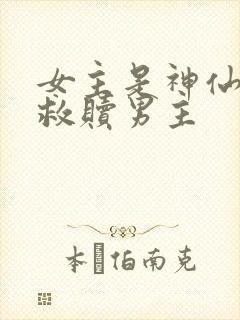 女主是神仙下凡救赎男主