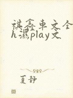 祺鑫车文全肉高h湿play文