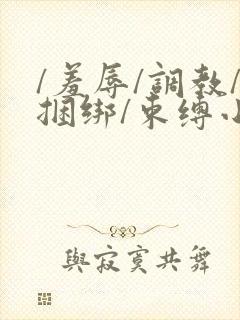 /羞辱/调教/捆绑/束缚小说