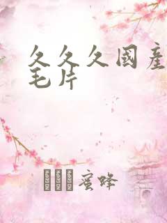 久久久国产精品毛片