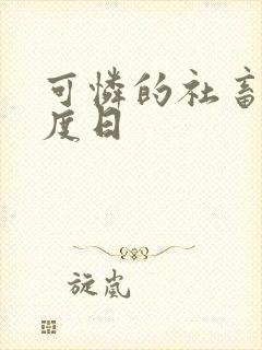 可怜的社畜 东度日