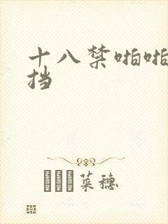 十八禁啪啪无遮挡