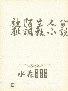 被陌生人公开羞耻调教小说