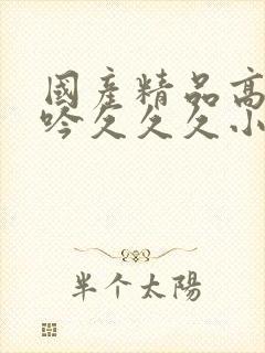 国产精品高潮呻吟久久久小说