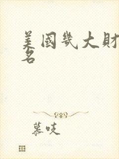 美国几大财团排名