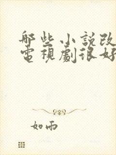 哪些小说改编的电视剧很好看