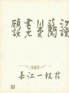 顾聿川苏汐棠小说免费阅读最新章节