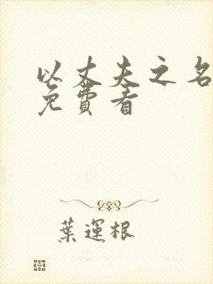 以丈夫之名短剧免费看