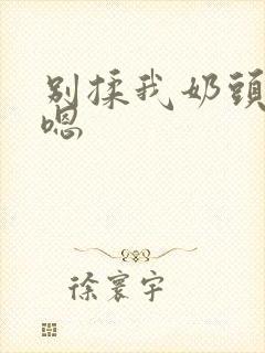 别揉我奶头啊 嗯