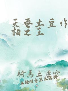 天蚕土豆作品万相之王