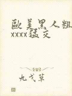 欧美黑人粗大xxxxx猛交