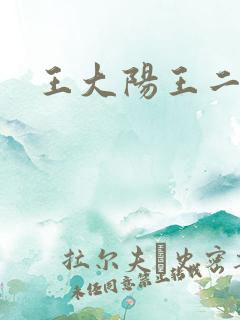 王大阳王二阳