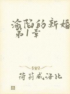 沦陷的新婚少妇 第1章