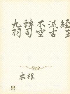 九转不灭经周轻羽司空古 主角