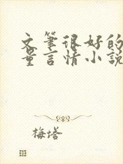 文笔很好的高质量言情小说