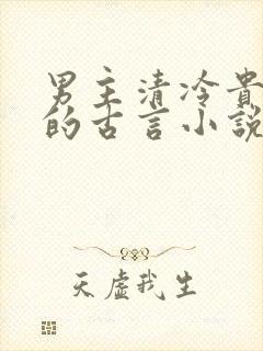 男主清冷贵公子的古言小说