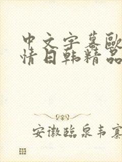 中文字幕欧美激情日韩精品