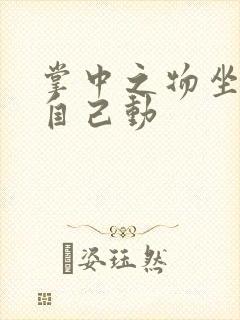 掌中之物坐上来自己动