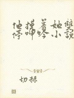 他摸着她双乳不停呻吟小说