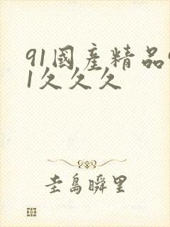 91国产精品91久久久