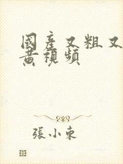 国产又粗又爽的黄视频