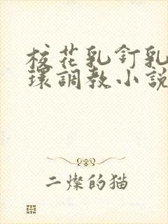 校花乳钉乳环蒂环调教小说h