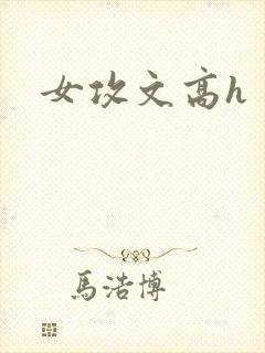 女攻文高h
