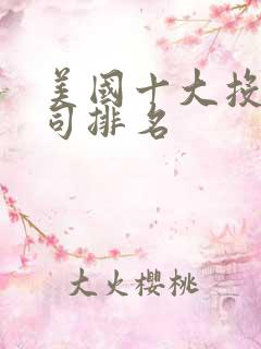 美国十大投资公司排名