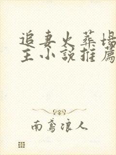 追妻火葬场双男主小说推荐