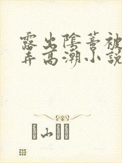 露出阴蒂被人玩弄高潮小说