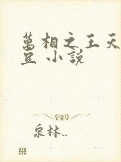 万相之王天蚕土豆 小说