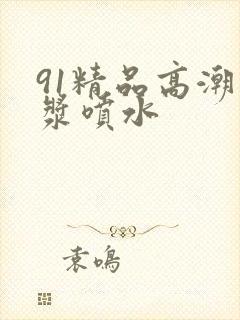 91精品高潮白浆喷水