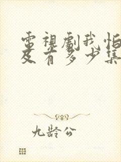 电视剧我怕来不及有多少集