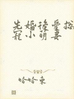 先婚后爱总裁蜜宠小萌妻