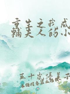 重生之我成了首辅夫人的小说