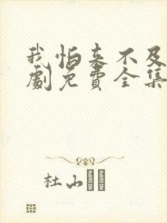 我怕来不及电视剧免费全集