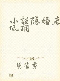 小说隐婚老公请低调