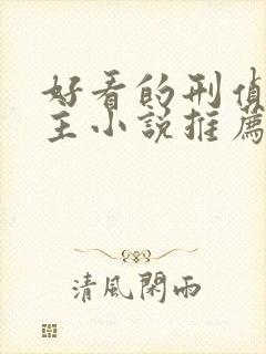 好看的刑侦双男主小说推荐