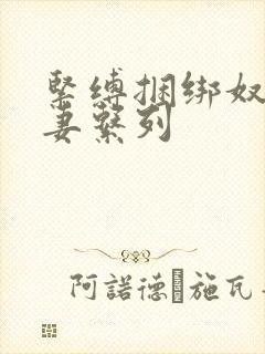 紧缚捆绑奴隷人妻系列