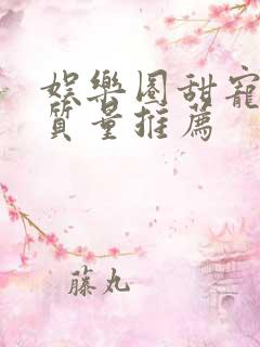 娱乐圈甜宠文高质量推荐