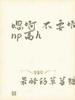 嗯啊 不要啊 np高h