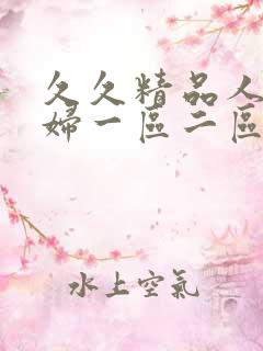 久久精品人妻少妇一区二区