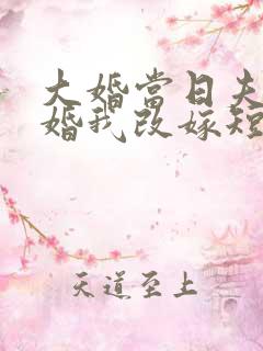 大婚当日夫君逃婚我改嫁短剧观看