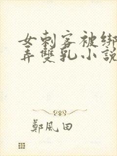 女刺客被绑着玩弄双乳小说